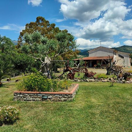 Azienda Agrituristica Verdevalle Cicerale Ngoại thất bức ảnh