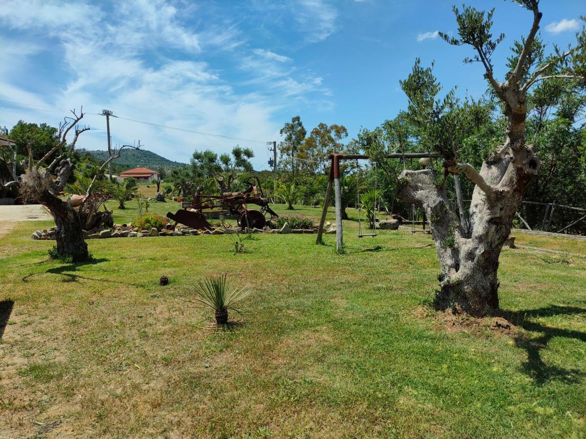 Azienda Agrituristica Verdevalle Cicerale Ngoại thất bức ảnh