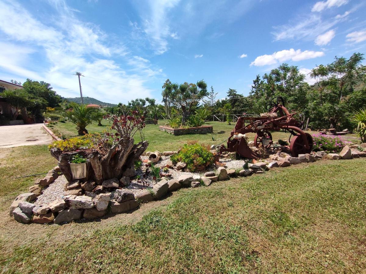 Azienda Agrituristica Verdevalle Cicerale Ngoại thất bức ảnh
